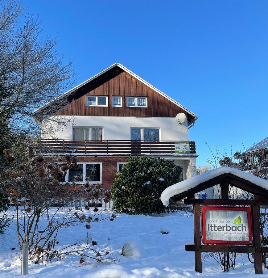Landhaus Am Itterbach Willingen Willingen (Upland) Exterior foto